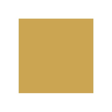 Model Air 17ml US interior yellow 