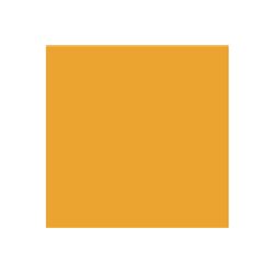 Natural wood transp. 17ml