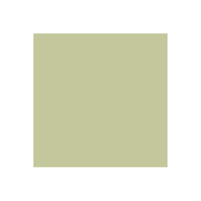 Model Air 17ml Eau de Nil Duck Egg green