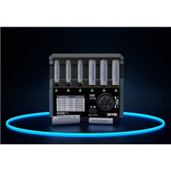 SkyRC NC2500 Charger NiMH AA/AAA 0.1-2.5A 240AC