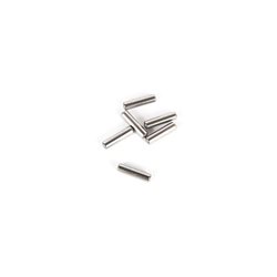 M2.5 x 10mm Pin (6)