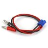 EC3 Charge Lead with 12 Wire & Jacks