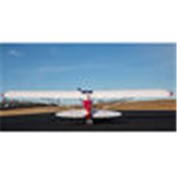 Carbon Cub FX-3 100-200cc ARF