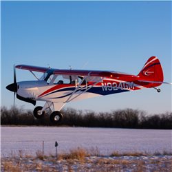 Carbon Cub FX-3 100-200cc ARF