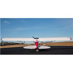 Carbon Cub FX-3 100-200cc ARF