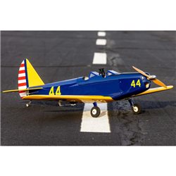 Hangar 9 Fun Scale PT-19 PNP