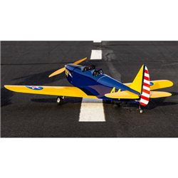 Hangar 9 Fun Scale PT-19 PNP