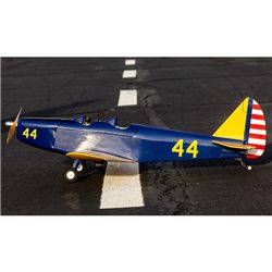 Hangar 9 Fun Scale PT-19 PNP
