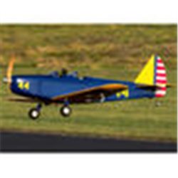 Hangar 9 Fun Scale PT-19 PNP