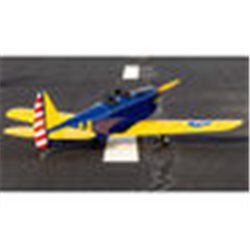 Hangar 9 Fun Scale PT-19 PNP