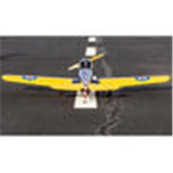 Hangar 9 Fun Scale PT-19 PNP