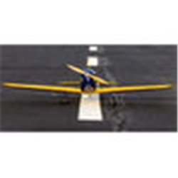 Hangar 9 Fun Scale PT-19 PNP