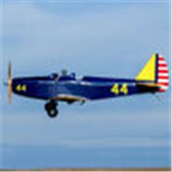 Hangar 9 Fun Scale PT-19 PNP