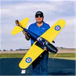 Hangar 9 Fun Scale PT-19 PNP