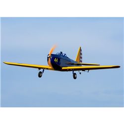 Hangar 9 Fun Scale PT-19 PNP