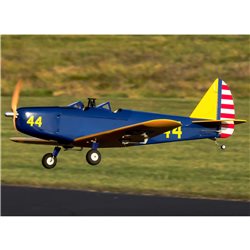 Hangar 9 Fun Scale PT-19 PNP