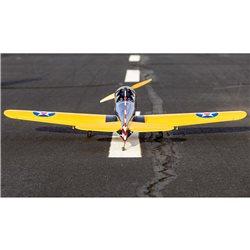 Hangar 9 Fun Scale PT-19 PNP