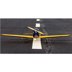 Hangar 9 Fun Scale PT-19 PNP