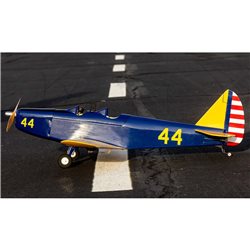 Hangar 9 Fun Scale PT-19 PNP