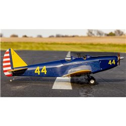 Hangar 9 Fun Scale PT-19 PNP