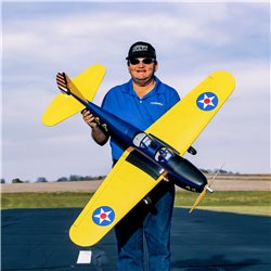 Hangar 9 Fun Scale PT-19 PNP
