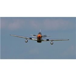 P-51D Mustang 60cc ARF (2 Boxes)