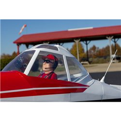 Pawnee Brave 20cc ARF