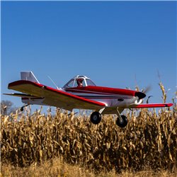 Pawnee Brave 20cc ARF