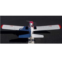 Pawnee Brave 20cc ARF