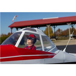 Pawnee Brave 20cc ARF