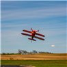 Pitts S-2B  50-60cc