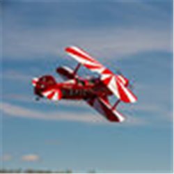 Pitts S-2B  50-60cc