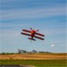 Pitts S-2B  50-60cc