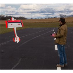 Ultra Stick 10cc ARF