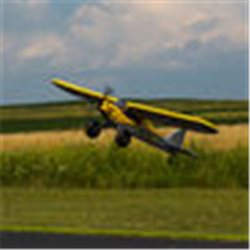 Carbon Cub S2 1.3M BNF Basic