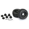Badlands MX28 2.8 MTD Raid Black 6x30 F/R