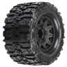 Trencher HP 2.8 BELTED Tires MTD Raid 6x30 WhlsF/R
