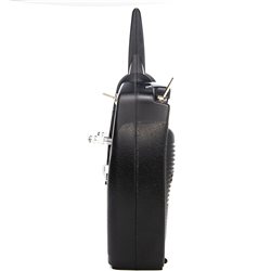 DXS System w/ AR410 Receiver