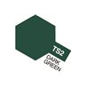 TS-2 Dark Green (Flat)