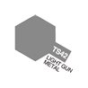 TS-42 Light Gun Metal (Gloss)