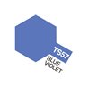 TS-57 Blue Violet (Gloss)