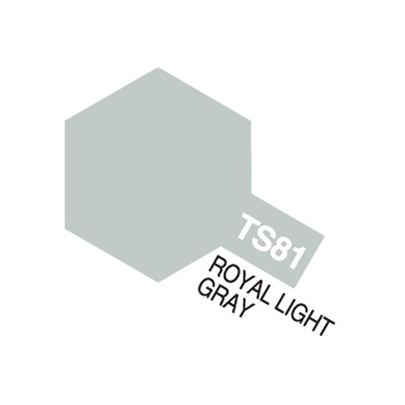 TS-81 Royal Light Gray (Flat)