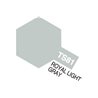 TS-81 Royal Light Gray (Flat)
