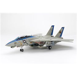 1/48 Grumman F-14D Tomcat