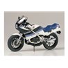 1/12 Suzuki RG250 ?