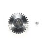06 Module Pinion Gear (29T)