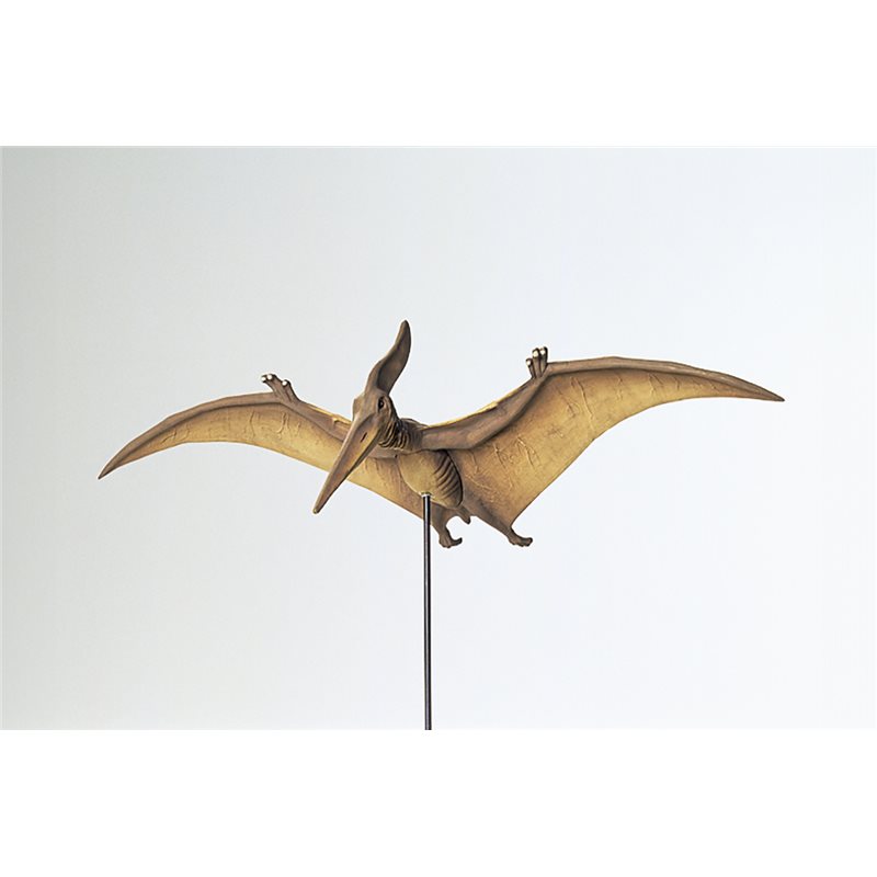 1/35 Pteranodon