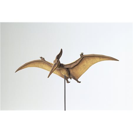 1/35 Pteranodon