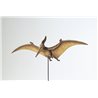 1/35 Pteranodon