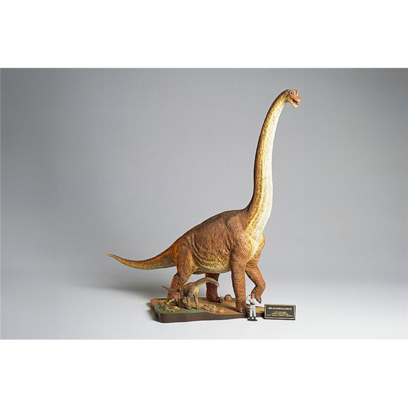 1/35 Brachiosaurus Diorama